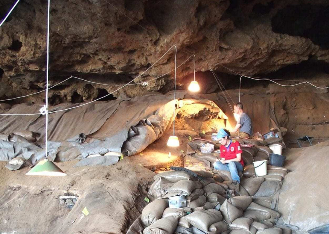 Archaeologists excavating the world's oldest known grass bed at Border Cave in South Africa